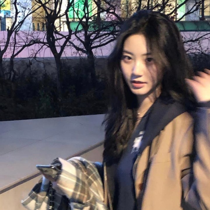 少林少女